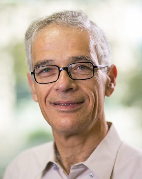 דוד מנדלוביץ